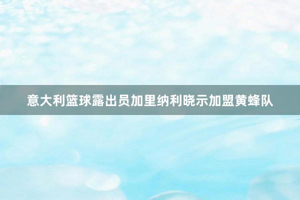 意大利篮球露出员加里纳利晓示加盟黄蜂队